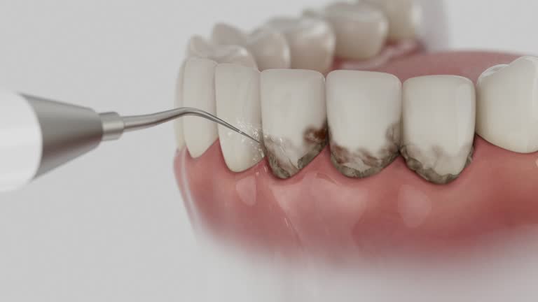 Reliable Dental contractor in Birch Run, MI by Dentist Open Now